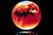 氣象組織預警：未來五年恐連創高溫紀錄