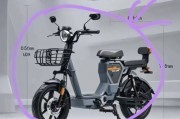電動自行車新國標實施：時速不超25公里