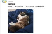 《明末》製作人夏思源遭辭退