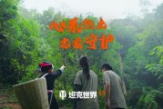 《坦克世界》助農項目圓滿落地，打通鄉村振興“最後一公里”