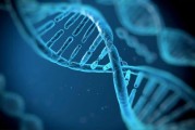 碳基取代矽基？韓國研發DNA分子電腦