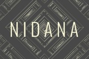 《NIDANA》七月發售 獨特步行體驗引關注